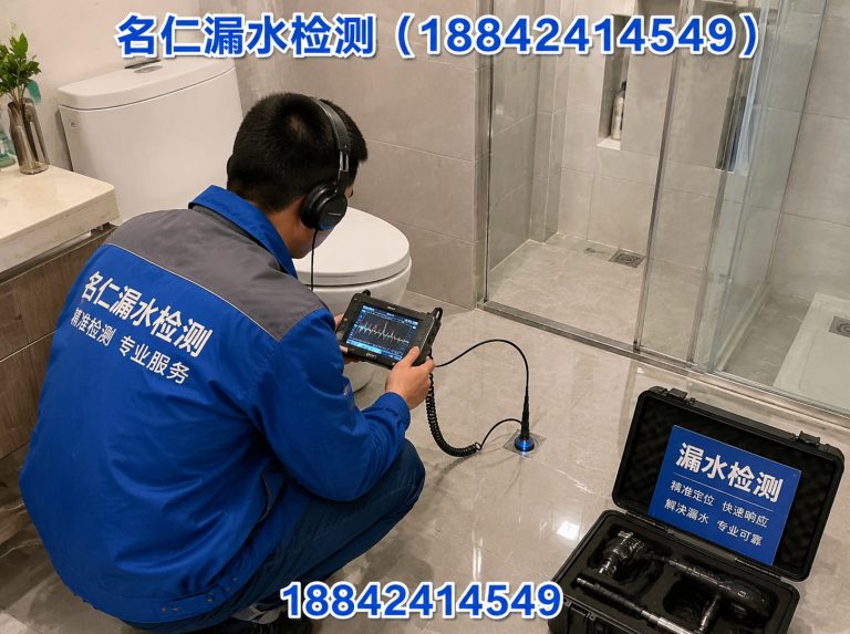辽中区精准测漏水展示图